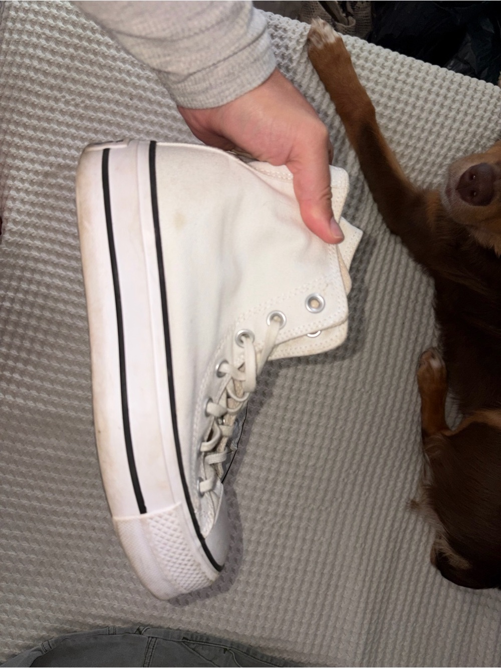 Converse White High-Top Platform Sneakers